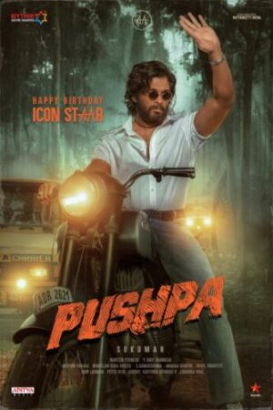Pushpa: The Rise – Part 1 (2021)-cinemabaaz.xyz